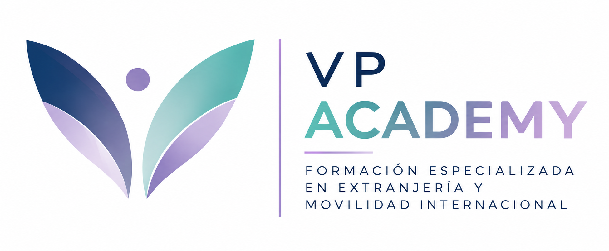 VP Academy